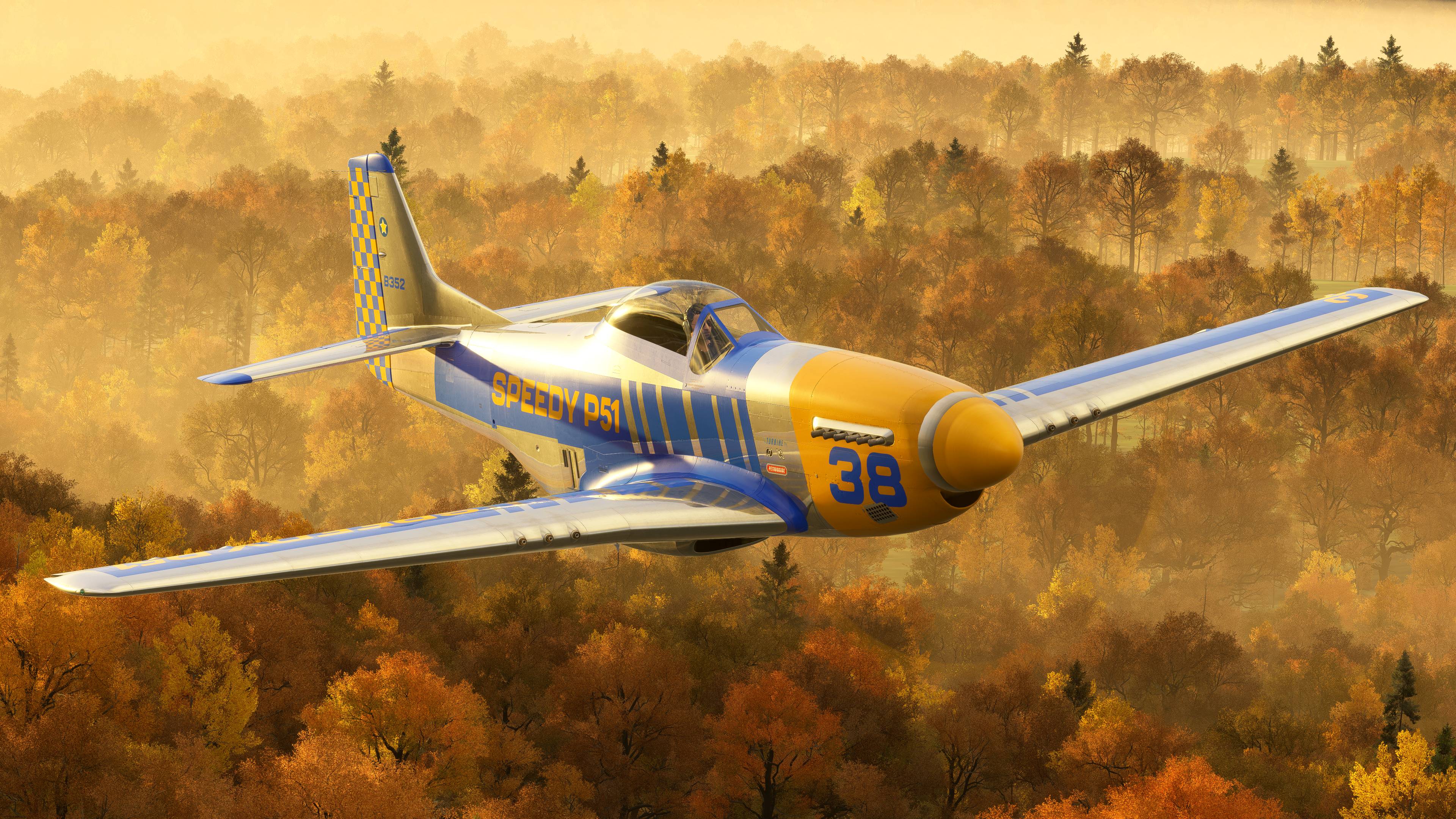 Microsoft Flight Simulator 2024 - Imagen 20